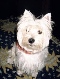 Imagem de Lady 1