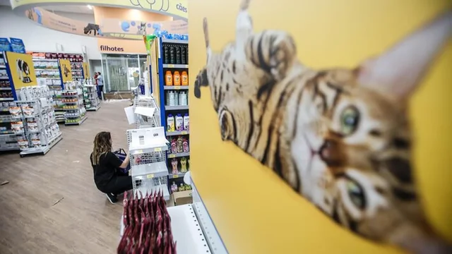 Cade aprova fusão entre Petz e Cobasi, criando gigante do setor pet