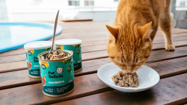 Pet Del&iacute;cia marca presen&ccedil;a na PET South America 2026 em S&atilde;o Paulo
